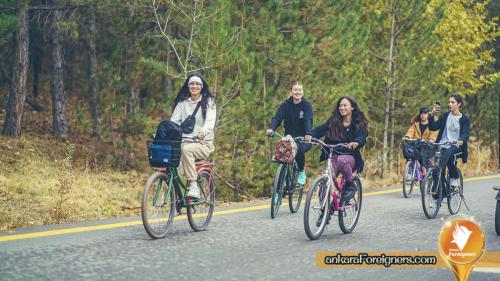 Cycling-in-nature-Erasmus-events-copy