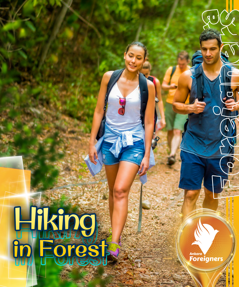 🌳 Hiking in Nature 🌳 🌳