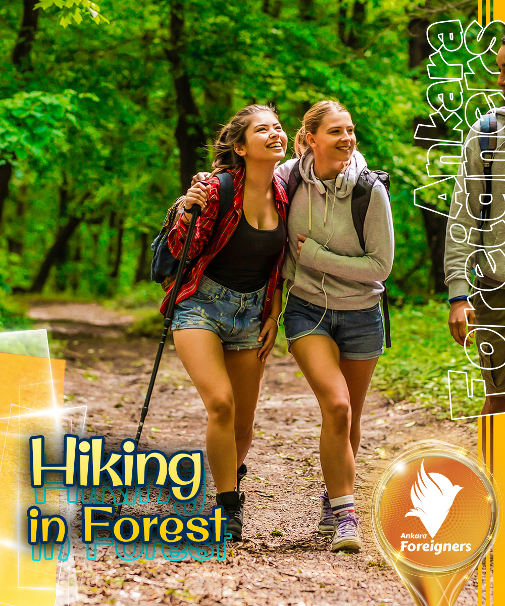 Hiking in Forest 🌳🌳🌳